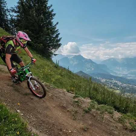 Pauline Domek alpejski Gryon